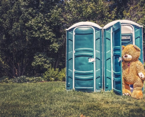 Banco de imágenes Gratisography - Teddy Bear Toilet